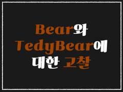 Bear와 Teddy Bear에 대한 고찰