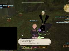 삭제된 신생 메인퀘 모음