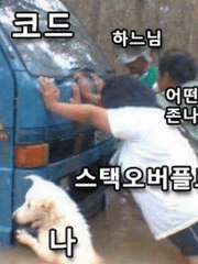 얼레벌레 아보카도 비전서