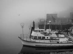 여기는 이국의 수도