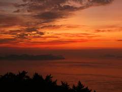 오렌지 아일랜드