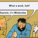 세실조말론버섯