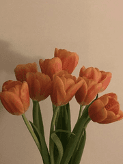 나는 서브 가이드