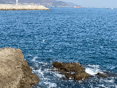 水上魚 _ 네번째 호흡