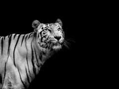 본인이 틀렸다고 생각하오?