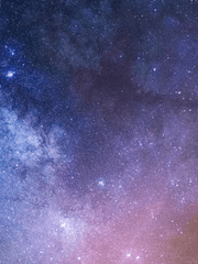 플로리아스의 봄