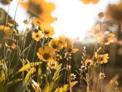 [미스루틸] 나를 위해서