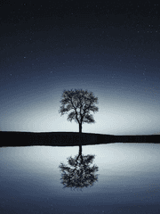 유메나카 키요코