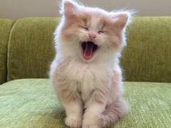 127막내 김여주 모먼트 EP.33