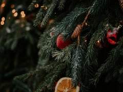 산타에게 쓰는 편지