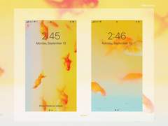 괴괴한 물고기_B