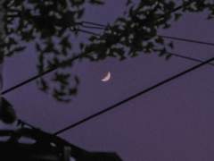 [히나른] 하나의 조직, 하나의 보스