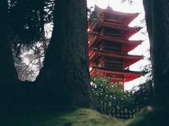 시월의 끝에 선 이에게 반딧불이가 답한다