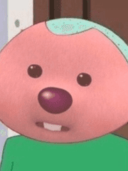 홍시의 도라이생활일기