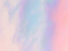 내 남자의 로맨스 번외