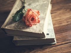 네가 옳을거야, 분명. 다만...