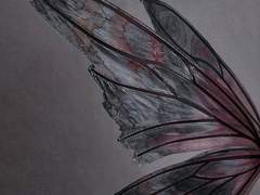 [특희/혐관]_[욕심, 욕망, 욕구, 그런것]