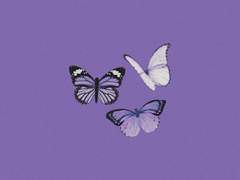 ✦ 장 세나 :: p r o f i l e - 2.