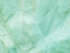 서리와 함께 겨울에 깨어난