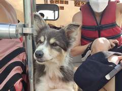 선배진짜인생그렇게살지마세요저한테그러시는거아니에요유죄눈빛발사금지