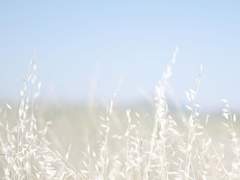 [쿄토] 감사하는 마음