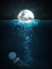 박문대가 초기화되었습니다