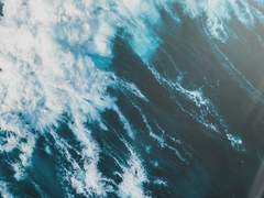 파라다이스에 어서오세요!