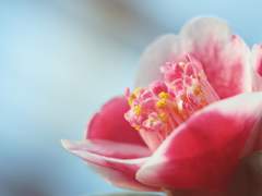 그럴지도 모르오. 허나.