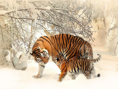 시리도록 날카로운 바람에 베여,