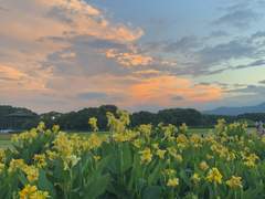 7일차. 최근에 가장 나를 당황하게 만든 사건은 무엇인가요?