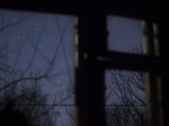 네 머리카락을 흐트러트렸다.