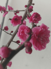 관객 없는 방백