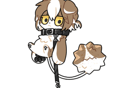 꼬리별::우주를 여행하는 작은 별의 조각