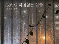 빗속의 하염없는 얼굴