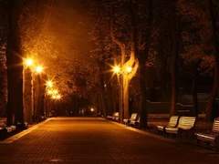 어느 가을날의 이야기