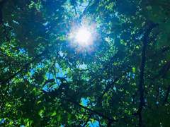 태양이 죽인 남자