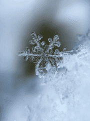 [겨울을 찾아서]