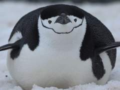 겨울을 찾아서 - 후기 및 Q&A *플레이 한 후에 봐주세요