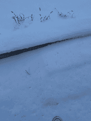 너를 잊는 방법