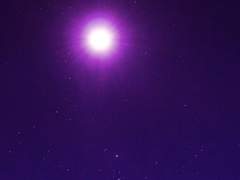 [ 우도경 / XY / 19]