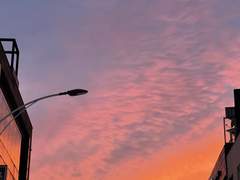 편안함을 느낀다