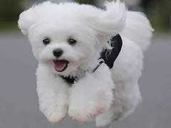 우당탕탕 수인학교 7