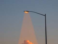 한여름 밤의 꿈