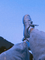 태양은 다시 떠오른다