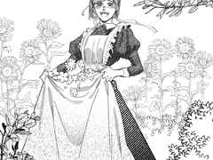 노바라 , 이타후시 등 잡다한 낙서