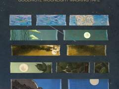 [굿노트 스티커] 밤 하늘 명화 마스킹 테이프