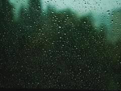 성동애 클리셰 3탄 외전