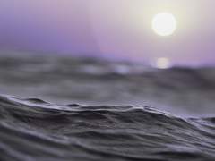 제인 코델리아 - 21 - 양 인수