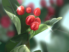 하이퍼리쿰 브러시 + PNG