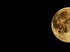 사랑받는다는 것은.